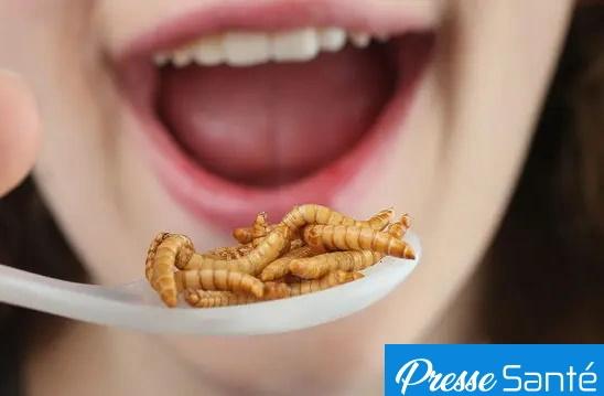 You are currently viewing Pourquoi les insectes deviendront l’alimentation de demain ?