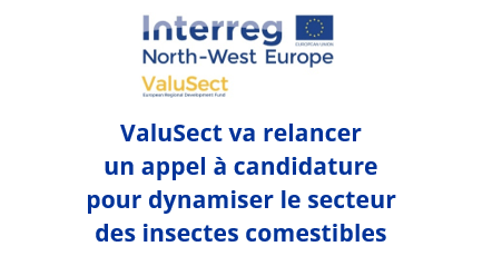 You are currently viewing Des aides R&D pour la filière insecte