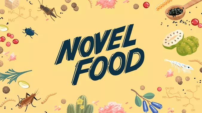You are currently viewing Comprendre la novel food en trois questions