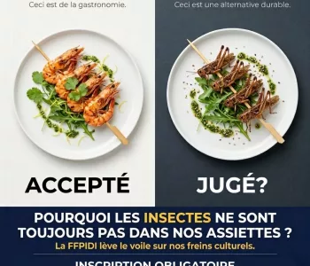 🦗 La lettre de la FFPIDI | Édition spéciale avril 2026